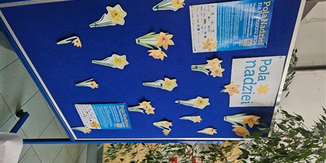 Powiększ grafikę: pola-nadziei-2026-695356.jpg